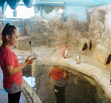 Изображение ребенка